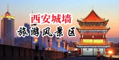 黄色网站日逼的。中国陕西-西安城墙旅游风景区